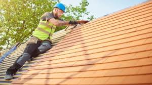 Roof Moss and Algae Removal in Dulles Town Center, VA